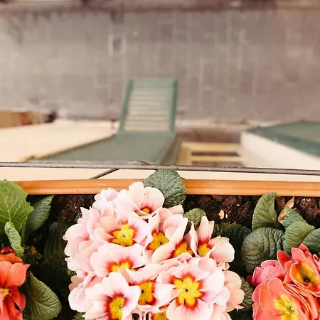 La Casa Del Cuoco - Piccola Con Colazione In Condiviso Con L'host Alojamento de Acomodação e Pequeno-almoço *